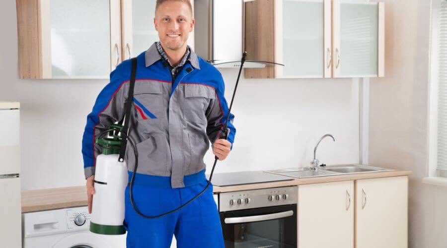 Professional pest control services services in Victoria Park